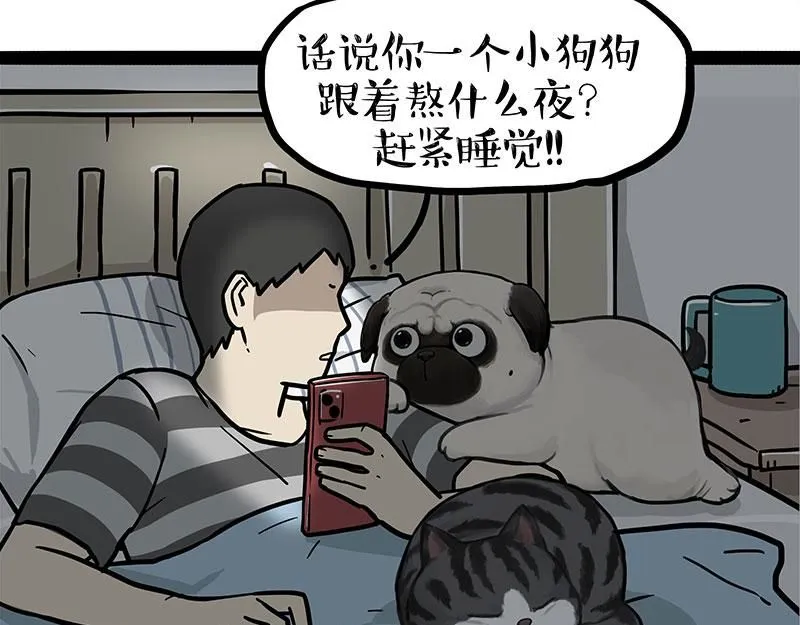 第395话 流星灵得很 第9页