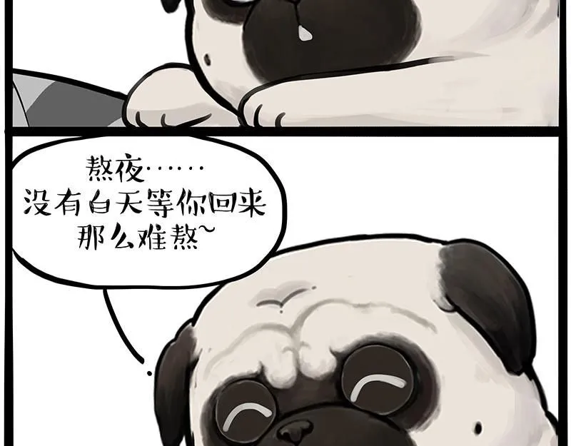 第395话 流星灵得很 第11页
