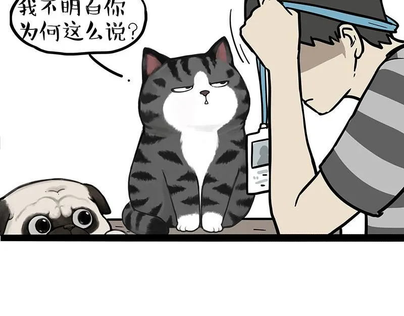 第395话 流星灵得很 第18页