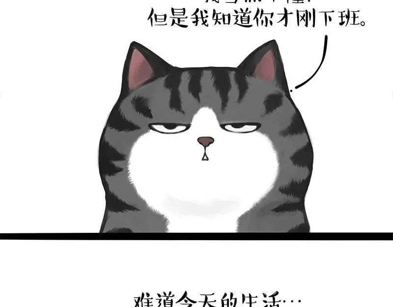 第395话 流星灵得很 第21页