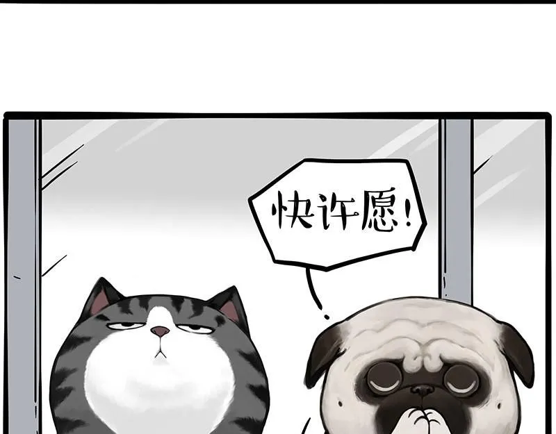第395话 流星灵得很 第40页