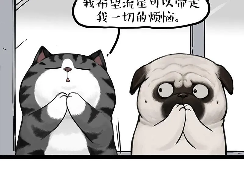 第395话 流星灵得很 第43页