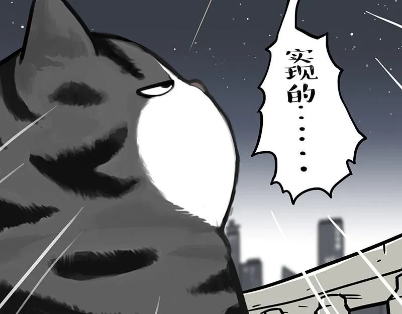 第395话 流星灵得很 第49页