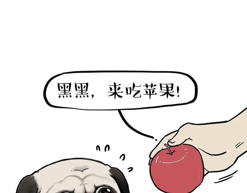 第394话 养狗指南 第6页