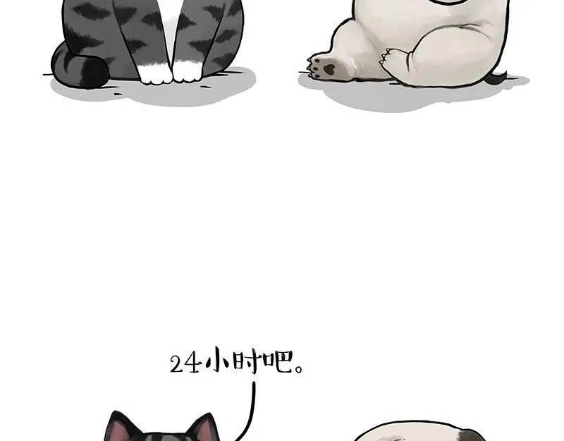 第392话 真相了 第42页