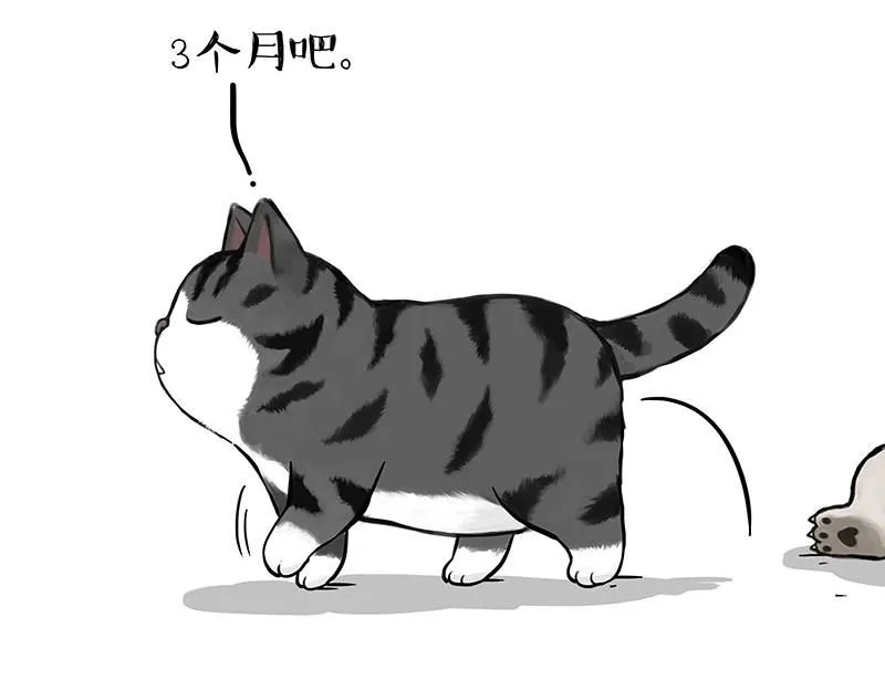 第392话 真相了 第48页