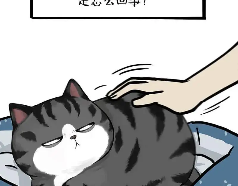 第399话 NPC 第10页