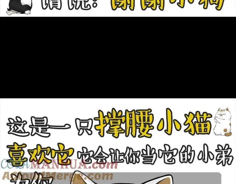 第399话 NPC 第21页