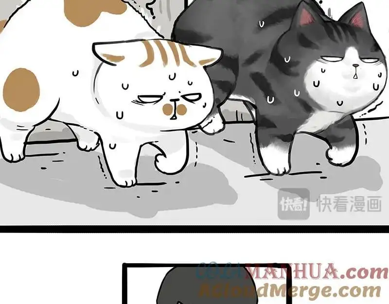 第400话 你是好人 第5页