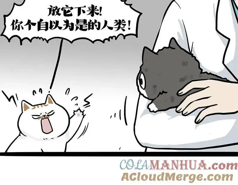 第402话 送走！所有！ 第16页