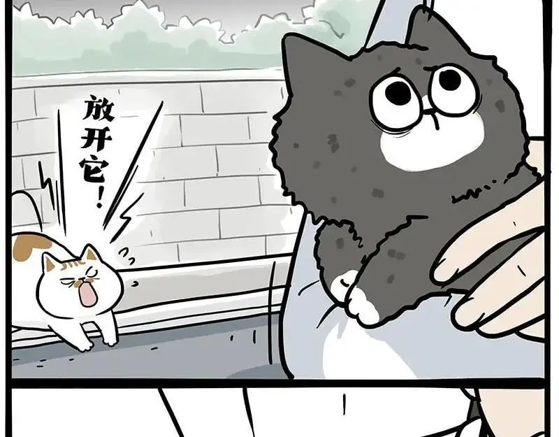 第402话 送走！所有！ 第21页