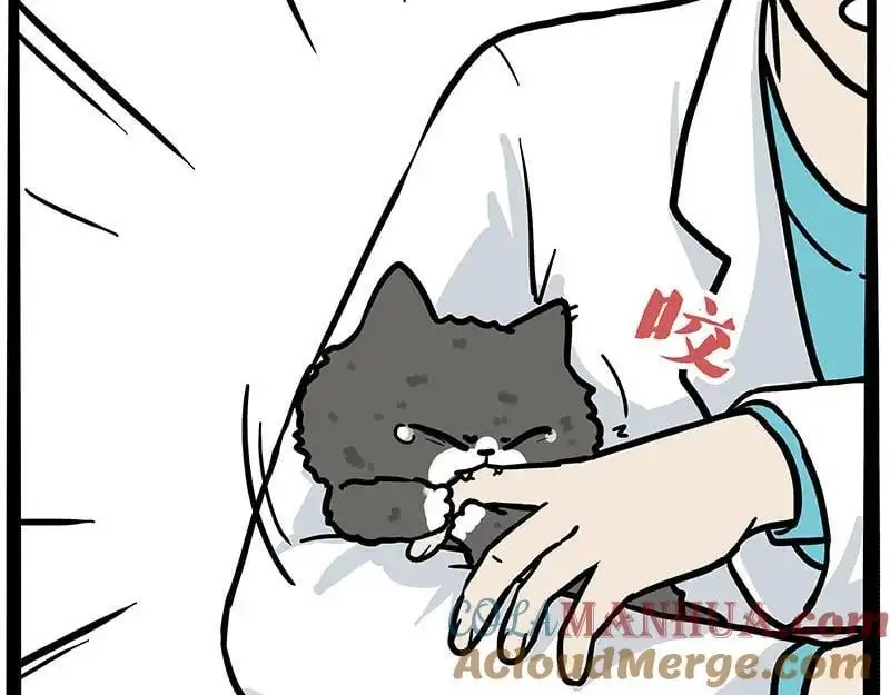 第402话 送走！所有！ 第22页