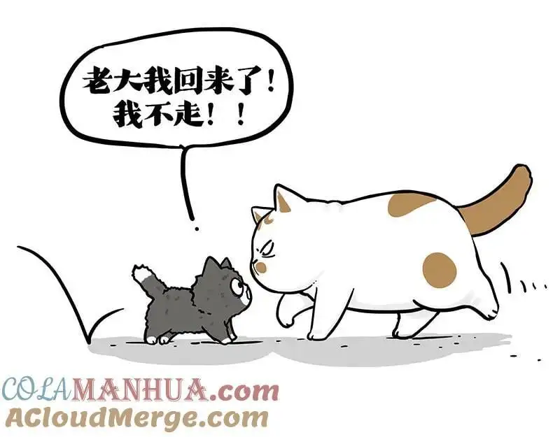 第402话 送走！所有！ 第25页