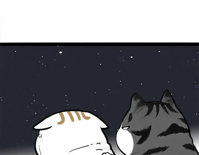 第402话 送走！所有！ 第62页