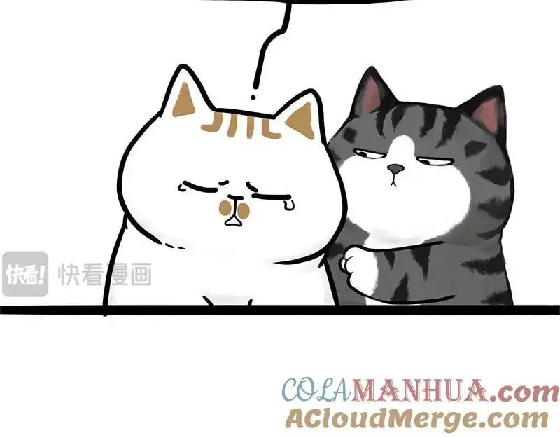 第402话 送走！所有！ 第64页