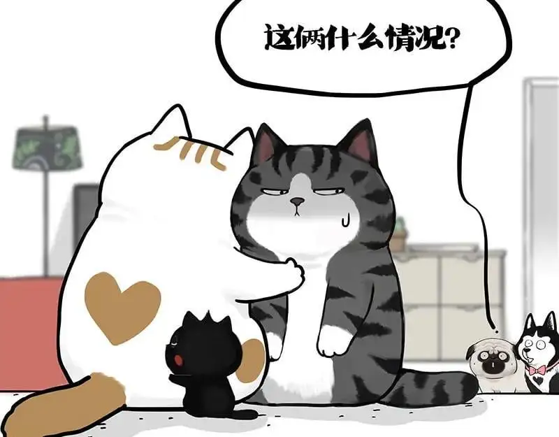 第402话 送走！所有！ 第74页