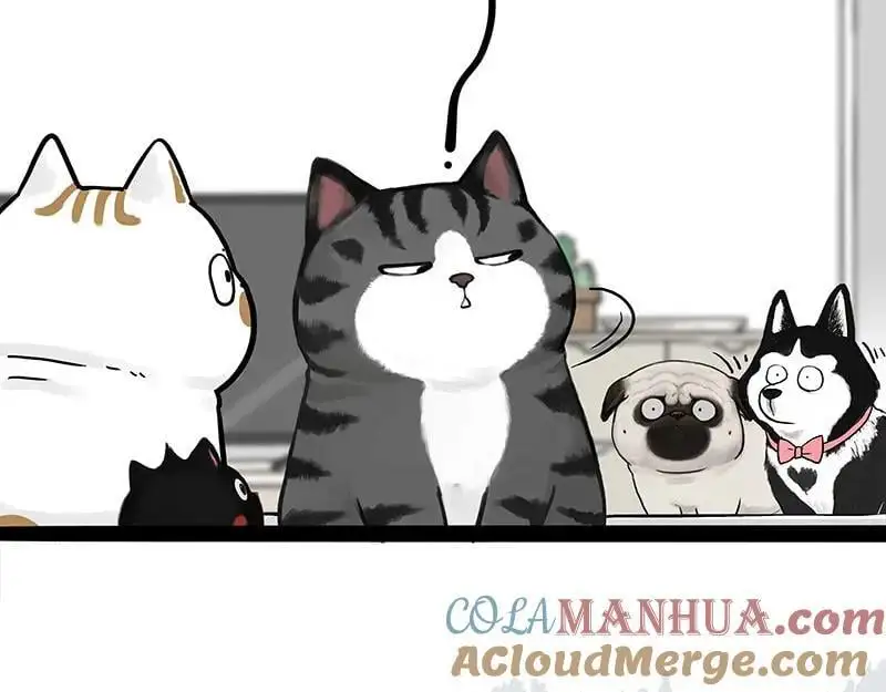 第402话 送走！所有！ 第76页