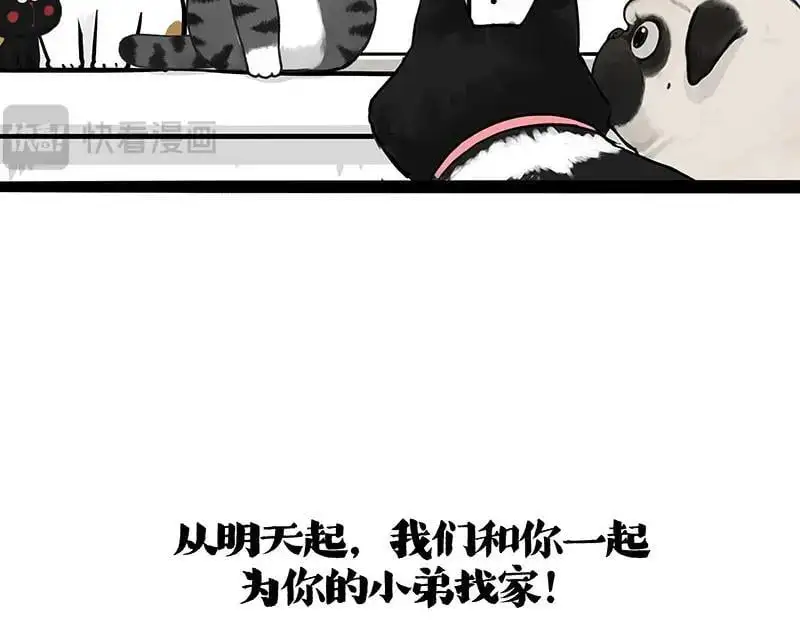 第402话 送走！所有！ 第78页