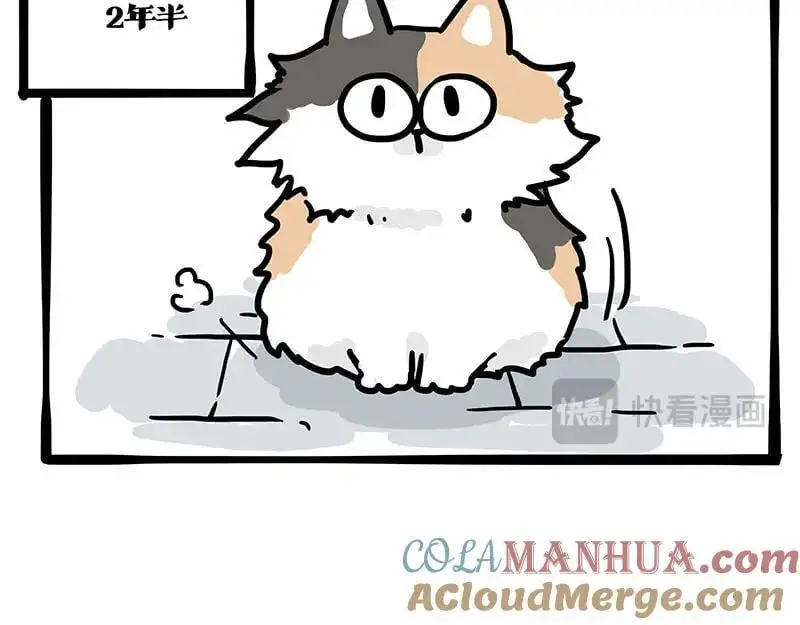 第404话 寻家计划1：啸天 第13页