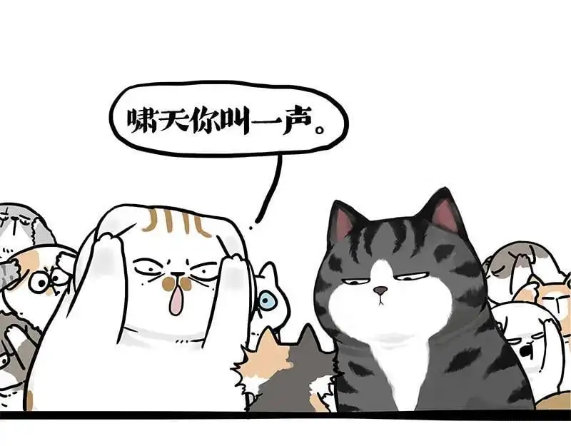 第404话 寻家计划1：啸天 第14页