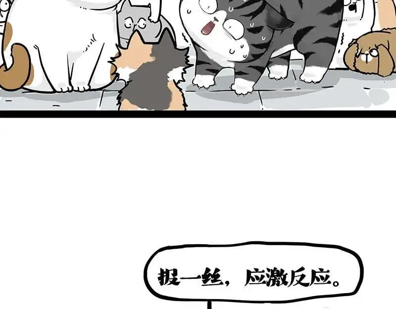 第404话 寻家计划1：啸天 第22页