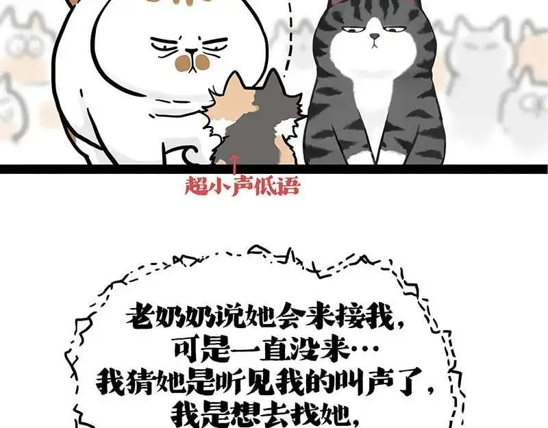 第404话 寻家计划1：啸天 第67页