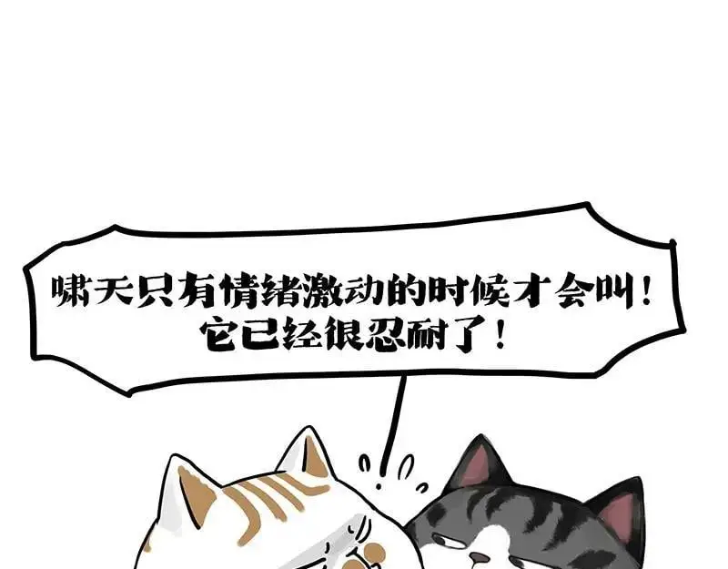 第404话 寻家计划1：啸天 第75页