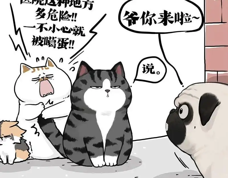 第404话 寻家计划1：啸天 第94页