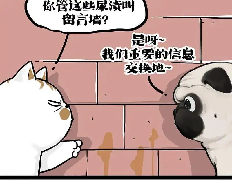 第404话 寻家计划1：啸天 第98页