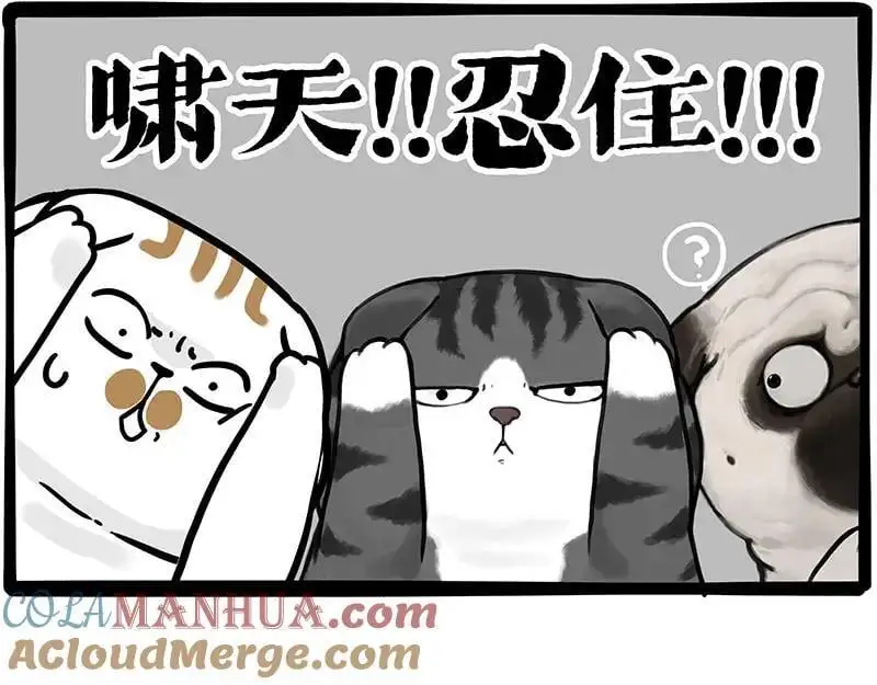 第404话 寻家计划1：啸天 第121页