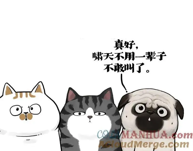 第404话 寻家计划1：啸天 第137页