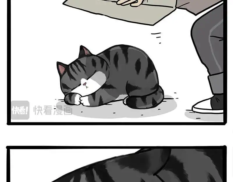 第404话 寻家计划1：啸天 第154页