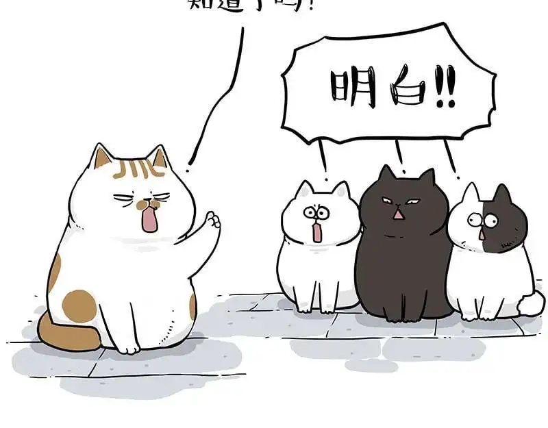 第405话 猫好狗好，人坏 第26页
