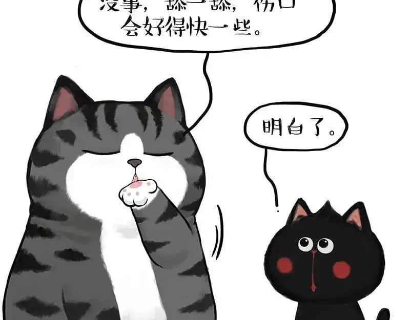 第405话 猫好狗好，人坏 第30页