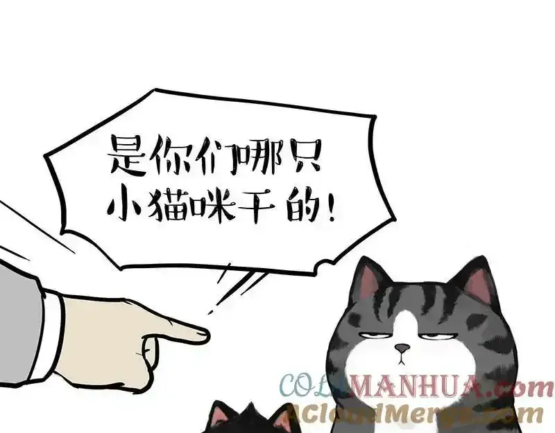 第380话 登峰造极 第17页
