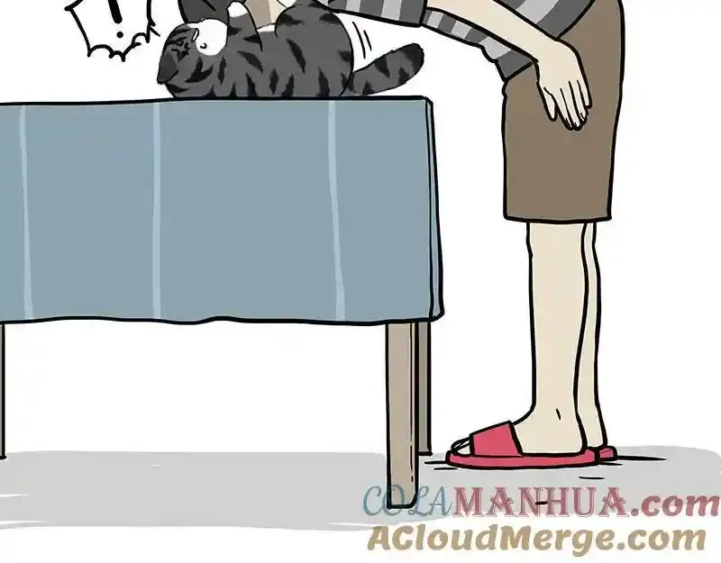 第382话 开心就好 第16页