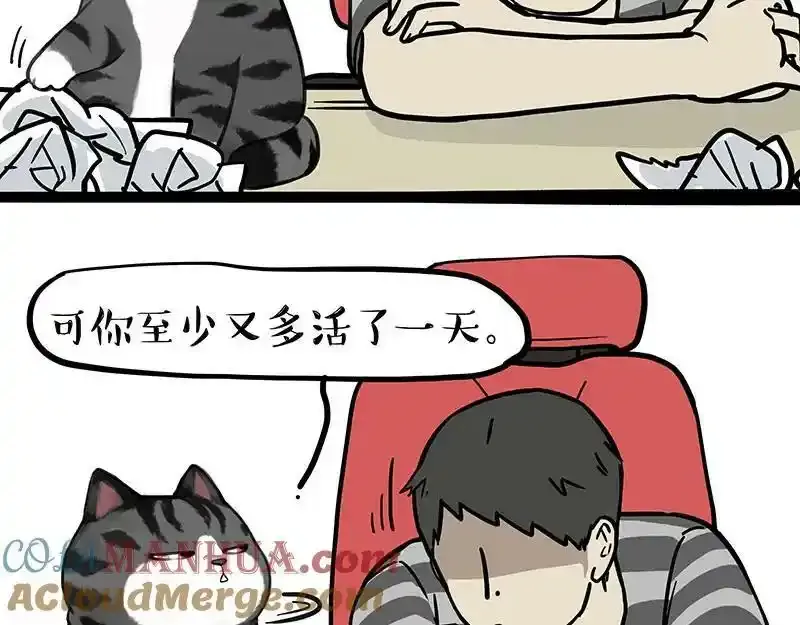 第382话 开心就好 第19页