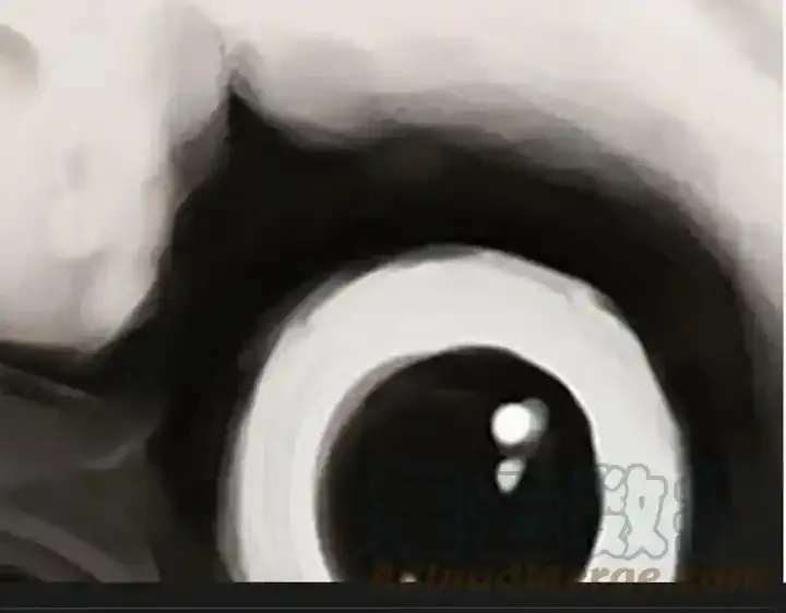 第222话 最终话的事 第93页