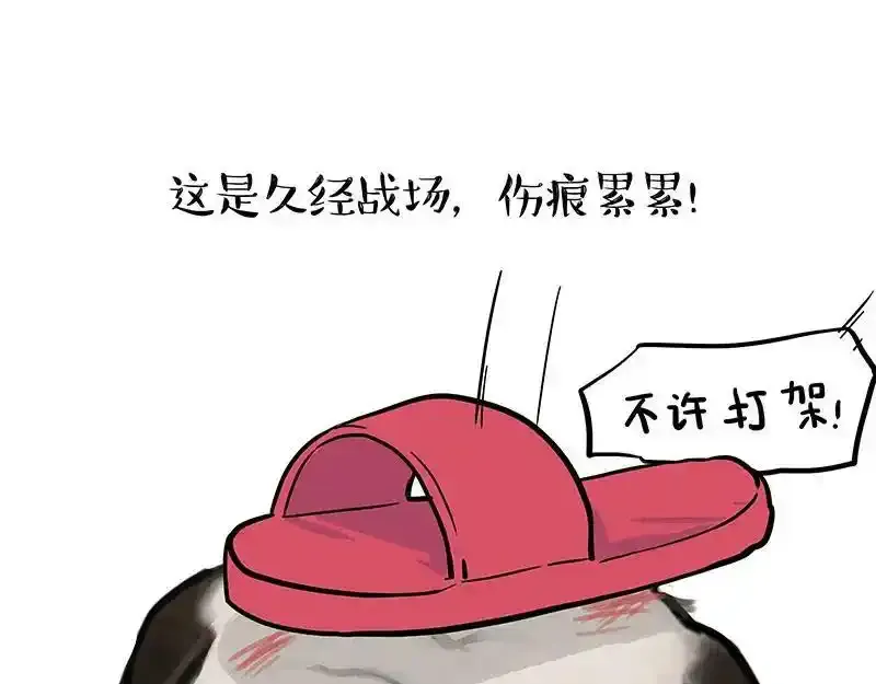 第381话 “生物钟” 第22页