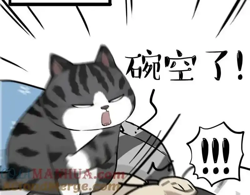 第381话 “生物钟” 第39页