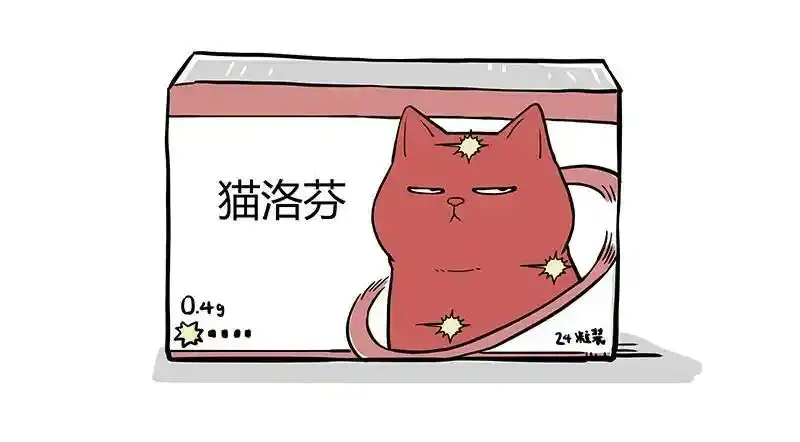 12月20日请假条 第4页