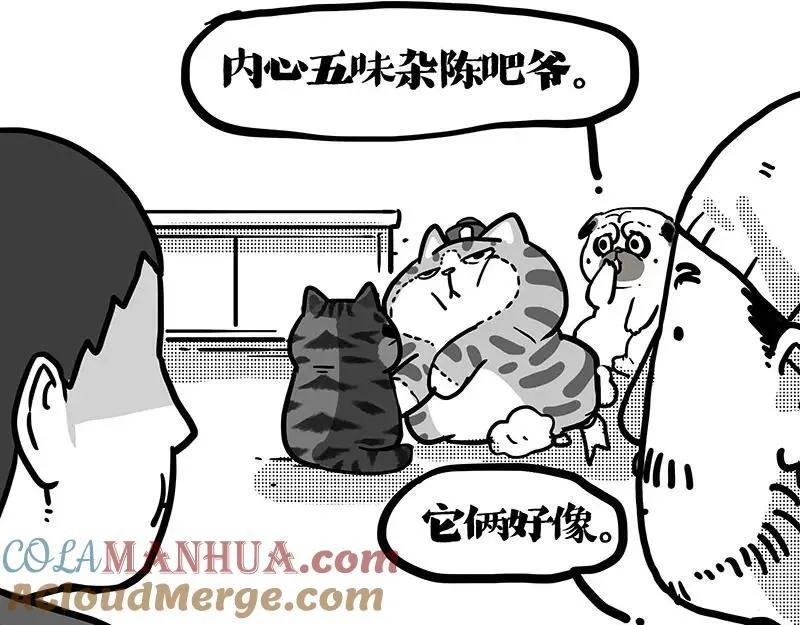 第408话 小狗心事（下） 第19页