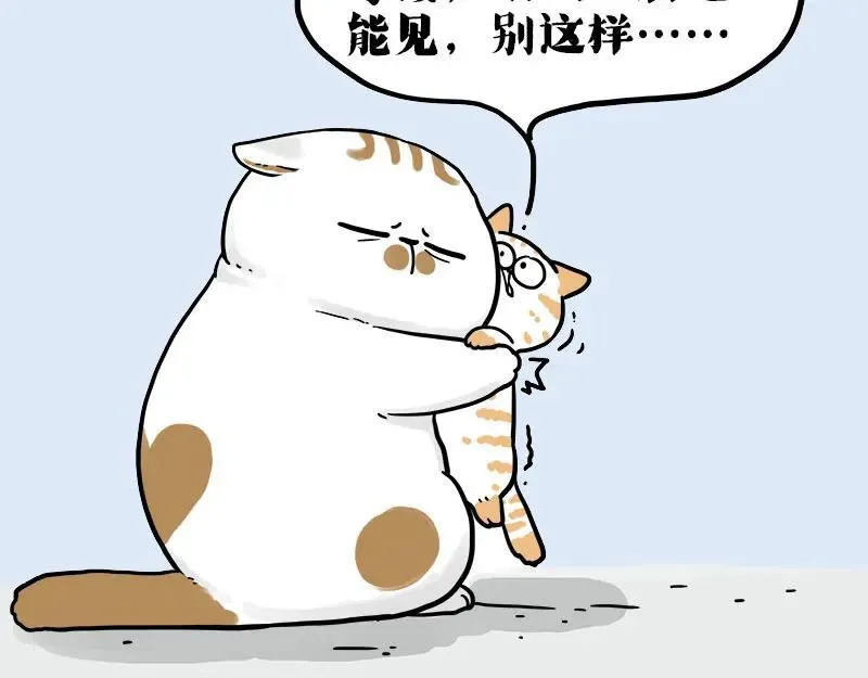 第410话 感情线大进展 第15页