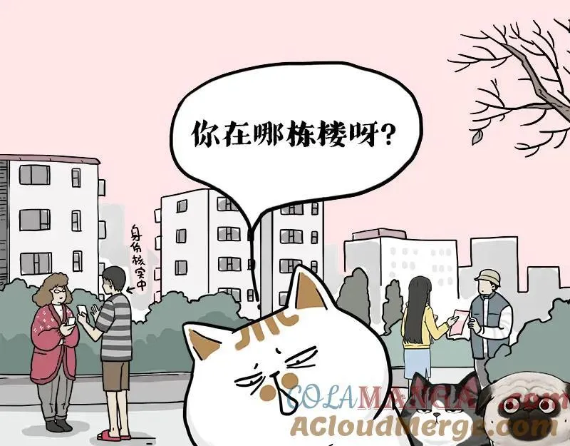 第410话 感情线大进展 第17页