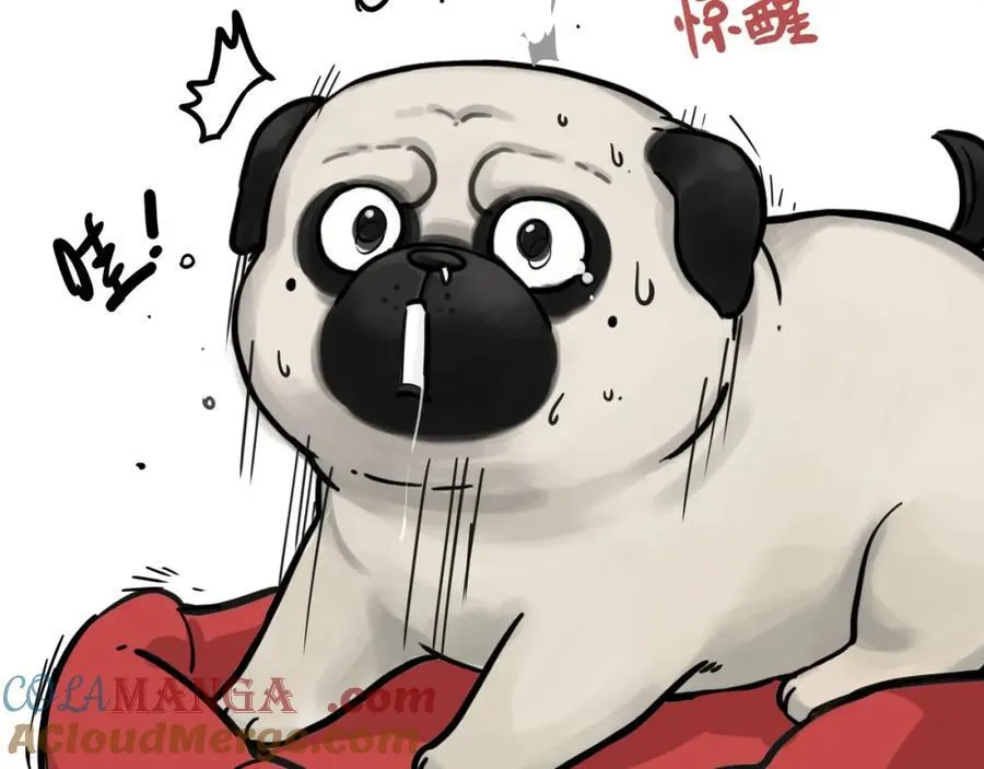 第411话 有人欢喜有人忧 第25页