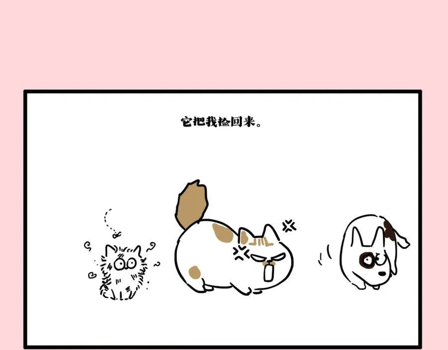 第413话 如果要离别 第45页