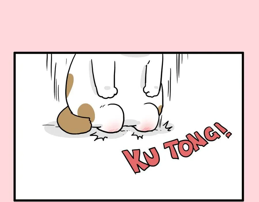 第415话 不再心软 第15页