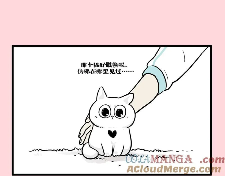 第415话 不再心软 第43页