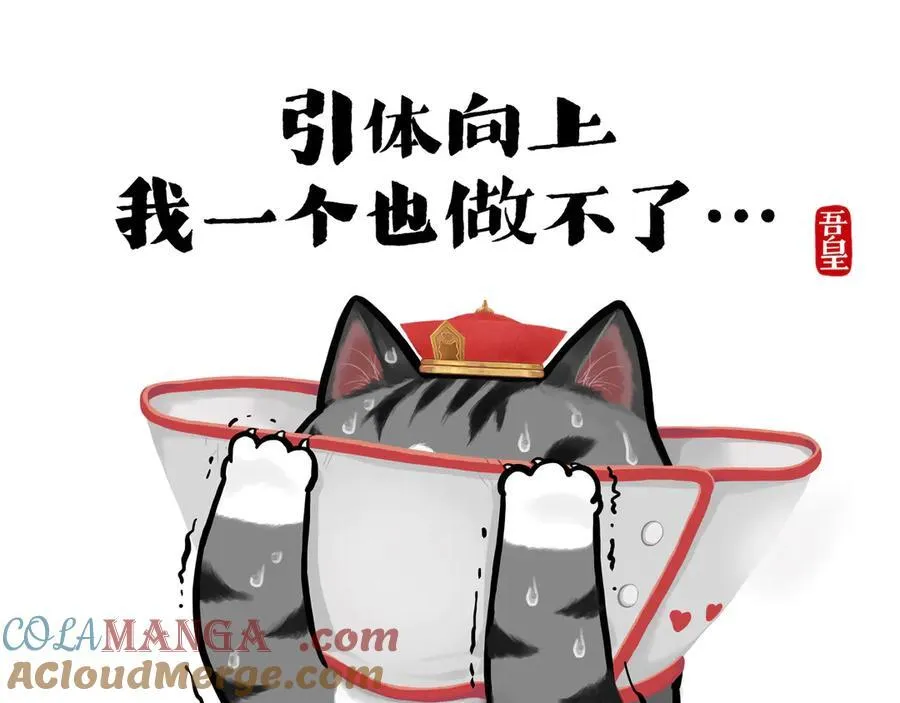 第416话 进圈 第13页