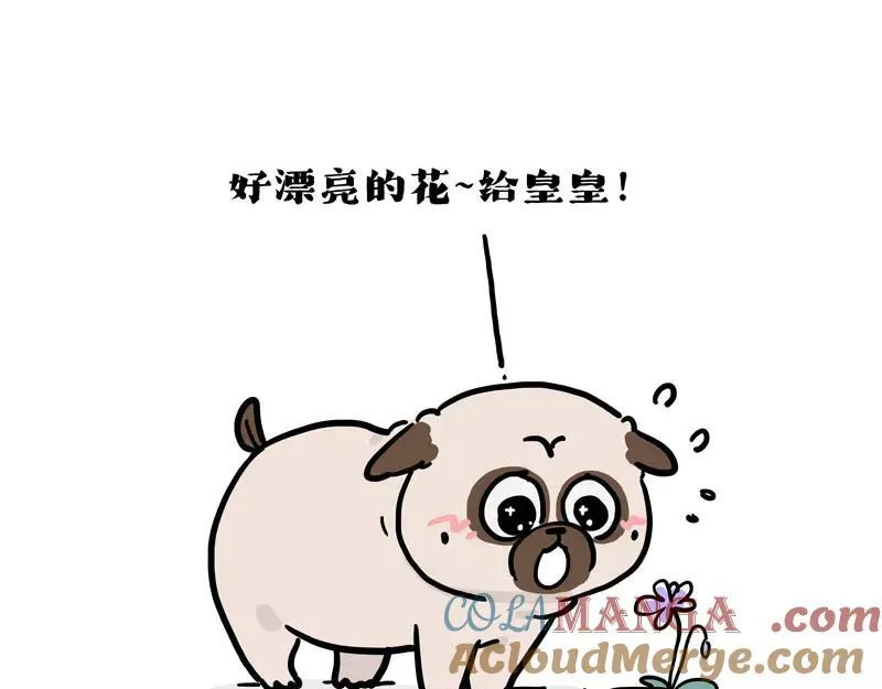第417话 帅哥你谁 第29页